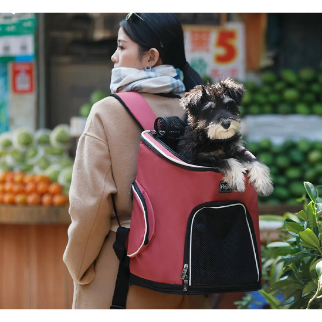 Portable Pet Dog Backpack