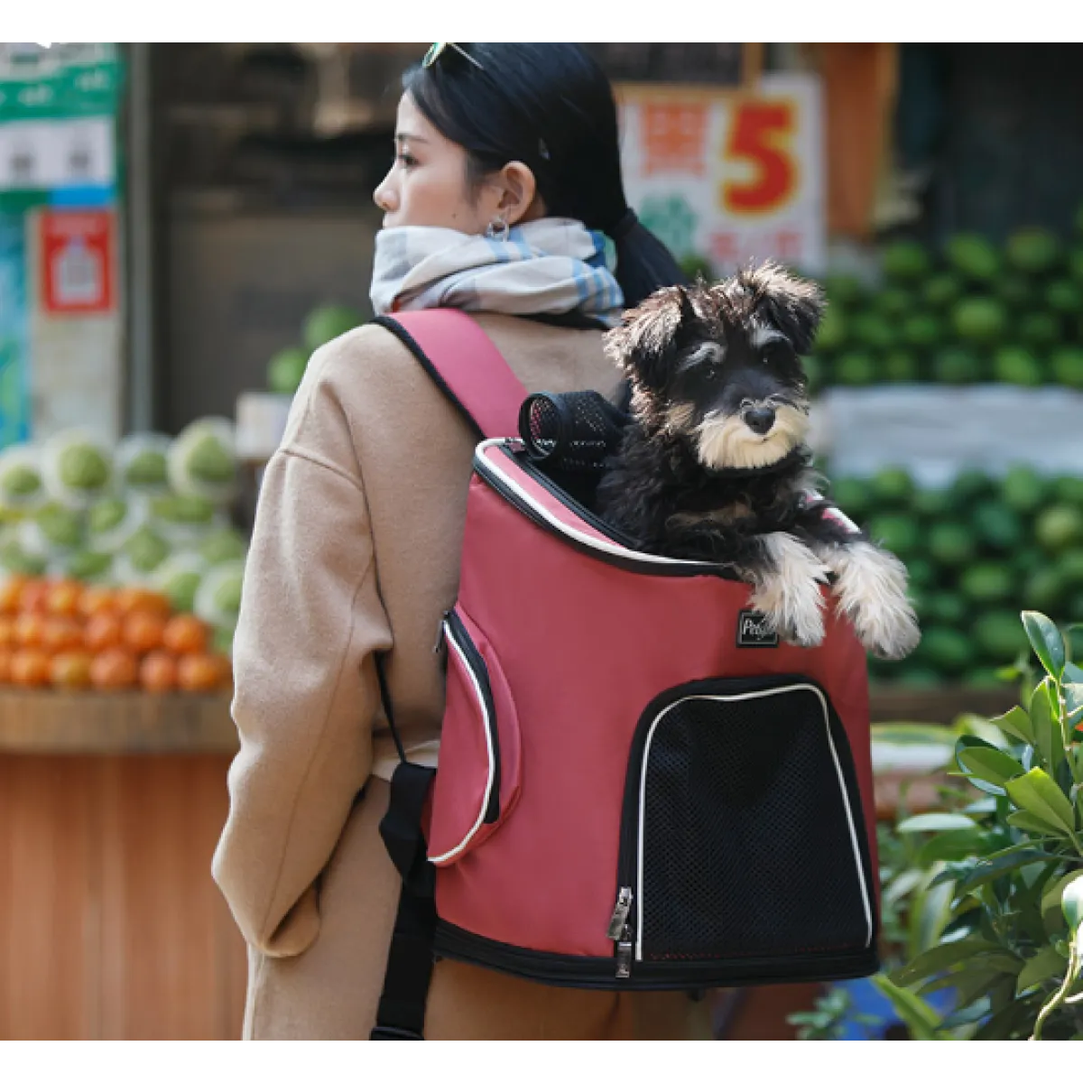 Portable Pet Dog Backpack
